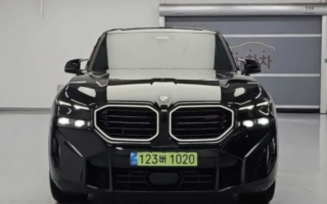 EV9스탠다드 중고차 XM (G09) 레이블 매물 사진 18 - 2025/12 7,690km